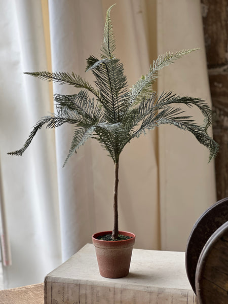 Sonora Palm | 26" | NOT CURRENTLY IN STOCK-New For Spring 2026!