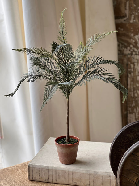 Sonora Palm | 26" | NOT CURRENTLY IN STOCK-New For Spring 2026!