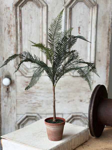 Sonora Palm | 26" | NOT CURRENTLY IN STOCK-New For Spring 2026!