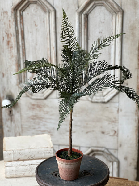 Sonora Palm | 26" | NOT CURRENTLY IN STOCK-New For Spring 2026!
