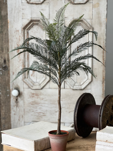 Sonora Palm | 36" | NOT CURRENTLY IN STOCK-New For Spring 2026!