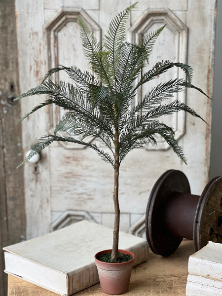 Sonora Palm | 36" | NOT CURRENTLY IN STOCK-New For Spring 2026!