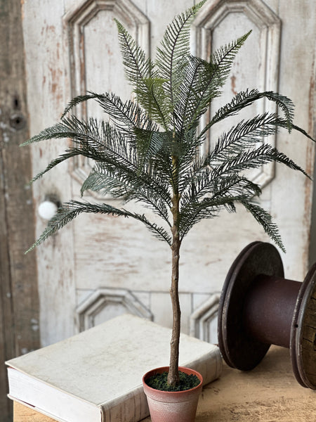 Sonora Palm | 36" | NOT CURRENTLY IN STOCK-New For Spring 2026!