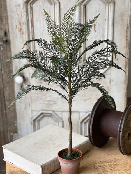 Sonora Palm | 36" | NOT CURRENTLY IN STOCK-New For Spring 2026!