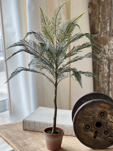 Sonora Palm | 36" | NOT CURRENTLY IN STOCK-New For Spring 2026!