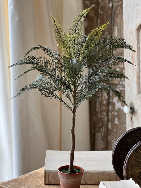 Sonora Palm | 36" | NOT CURRENTLY IN STOCK-New For Spring 2026!