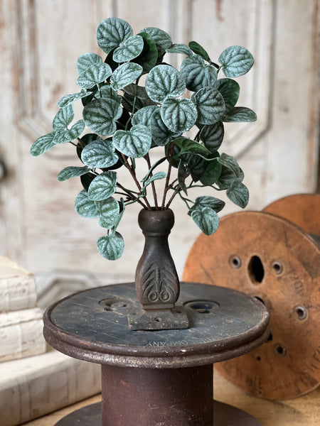 Piccolo Leaves Bush | 13" | NOT CURRENTLY IN STOCK-New For Spring 2026!