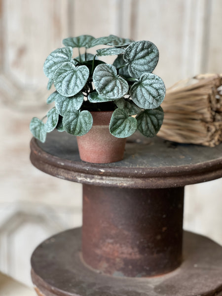 Piccolo Leaves Pot | 6" | NOT CURRENTLY IN STOCK-New For Spring 2026!