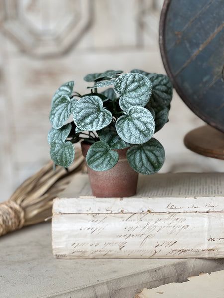 Piccolo Leaves Pot | 6" | NOT CURRENTLY IN STOCK-New For Spring 2026!