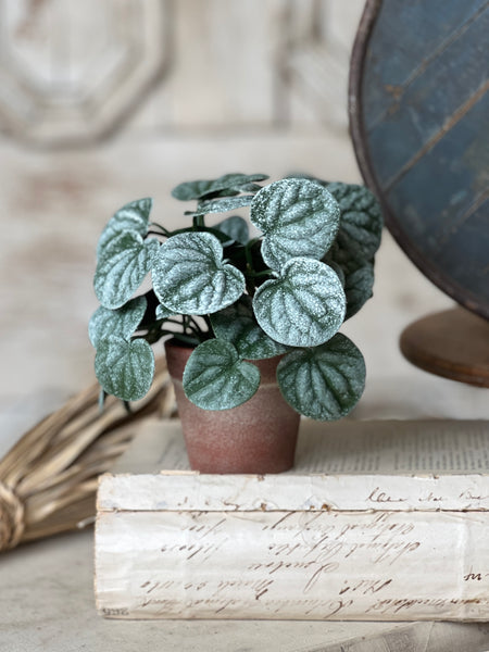 Piccolo Leaves Pot | 6" | NOT CURRENTLY IN STOCK-New For Spring 2026!