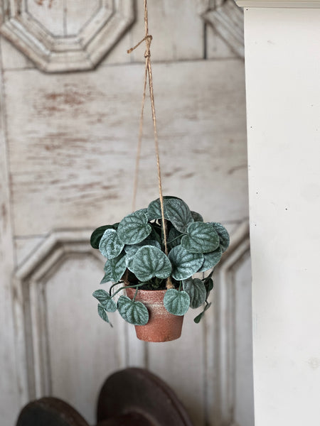 Piccolo Leaves Hanging Pot | 7" | NOT CURRENTLY IN STOCK-New For Spring 2026!