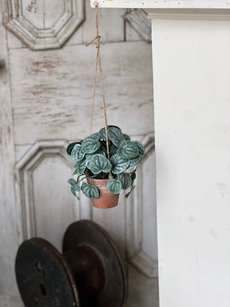 Piccolo Leaves Hanging Pot | 7" | NOT CURRENTLY IN STOCK-New For Spring 2026!