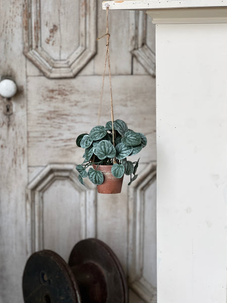 Piccolo Leaves Hanging Pot | 7" | NOT CURRENTLY IN STOCK-New For Spring 2026!