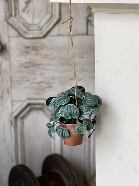 Piccolo Leaves Hanging Pot | 7" | NOT CURRENTLY IN STOCK-New For Spring 2026!