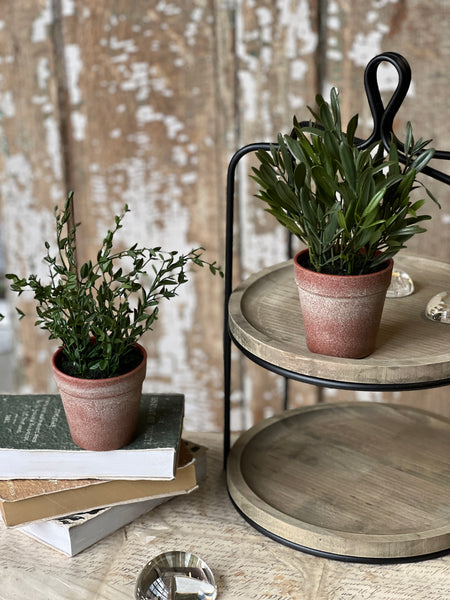 Hebron Pot | 10" | Spear Leaf | NOT CURRENTLY IN STOCK-New For Spring 2026!