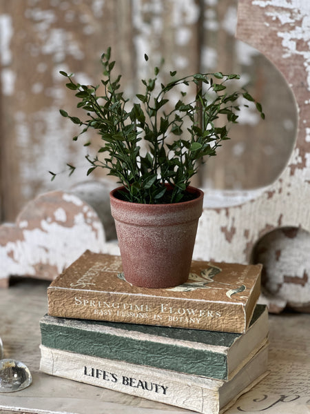 Hebron Pot | 10" | Spear Leaf | NOT CURRENTLY IN STOCK-New For Spring 2026!