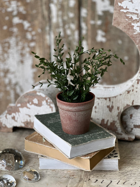 Hebron Pot | 10" | Spear Leaf | NOT CURRENTLY IN STOCK-New For Spring 2026!