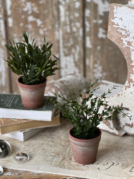 Hebron Pot | 10" | Olive | NOT CURRENTLY IN STOCK-New For Spring 2026!