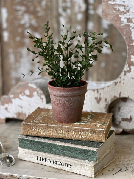 Hebron Pot | 10" | Spear Leaf | NOT CURRENTLY IN STOCK-New For Spring 2026!