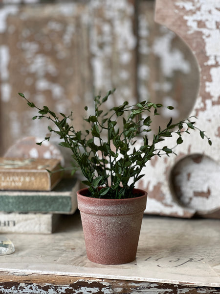 Hebron Pot | 10" | Spear Leaf | NOT CURRENTLY IN STOCK-New For Spring 2026!