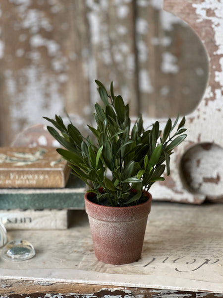Hebron Pot | 10" | Olive | NOT CURRENTLY IN STOCK-New For Spring 2026!