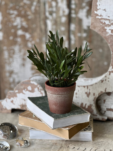 Hebron Pot | 10" | Olive | NOT CURRENTLY IN STOCK-New For Spring 2026!