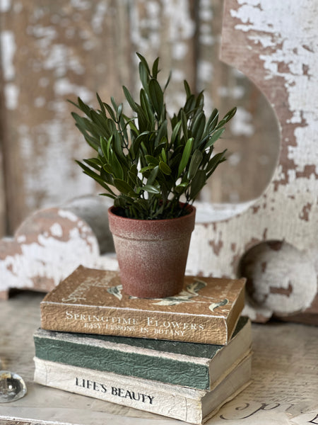 Hebron Pot | 10" | Olive | NOT CURRENTLY IN STOCK-New For Spring 2026!