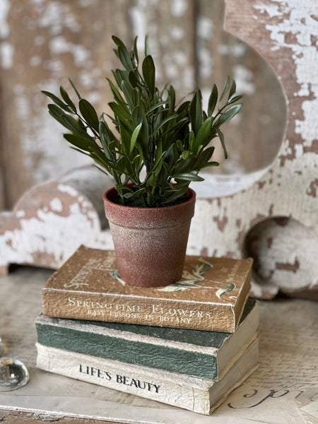 Hebron Pot | 10" | Olive | NOT CURRENTLY IN STOCK-New For Spring 2026!