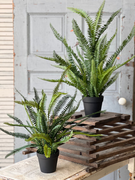 Quincy Fern Pot | 30" | NOT CURRENTLY IN STOCK-New For Spring 2026!
