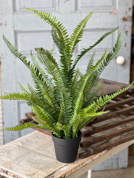 Quincy Fern Pot | 30" | NOT CURRENTLY IN STOCK-New For Spring 2026!