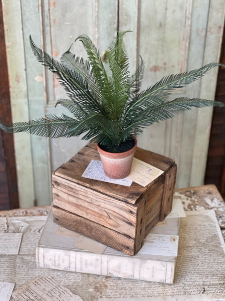 Pinion Fern Pot | 16" | NOT CURRENTLY IN STOCK-New For Spring 2026!
