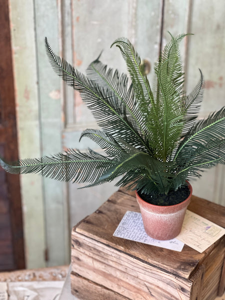 Pinion Fern Pot | 16" | NOT CURRENTLY IN STOCK-New For Spring 2026!