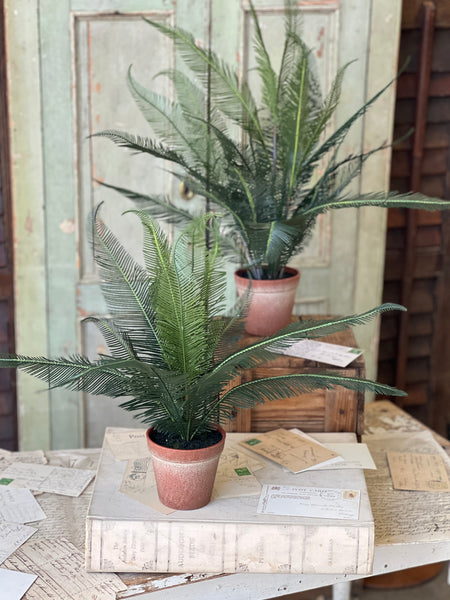 Pinion Fern Pot | 22" | NOT CURRENTLY IN STOCK-New For Spring 2026!