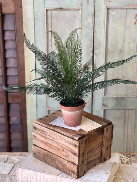 Pinion Fern Pot | 16" | NOT CURRENTLY IN STOCK-New For Spring 2026!