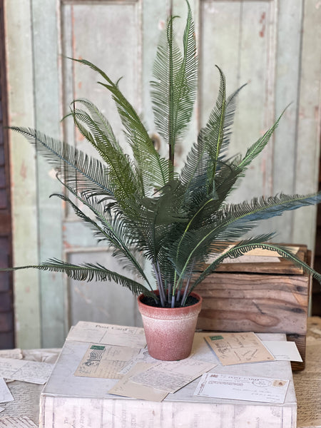 Pinion Fern Pot | 22" | NOT CURRENTLY IN STOCK-New For Spring 2026!