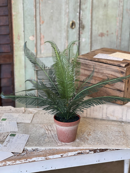 Pinion Fern Pot | 16" | NOT CURRENTLY IN STOCK-New For Spring 2026!
