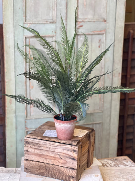 Pinion Fern Pot | 22" | NOT CURRENTLY IN STOCK-New For Spring 2026!