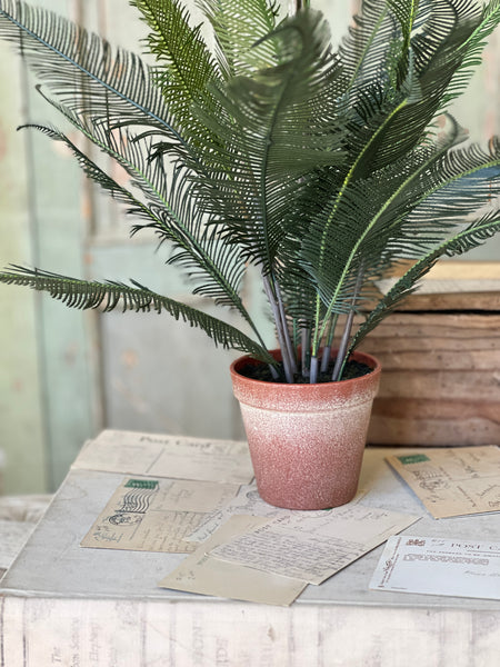 Pinion Fern Pot | 22" | NOT CURRENTLY IN STOCK-New For Spring 2026!