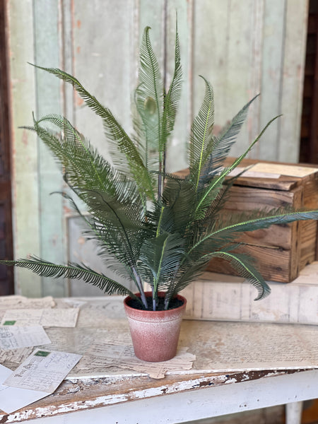 Pinion Fern Pot | 22" | NOT CURRENTLY IN STOCK-New For Spring 2026!
