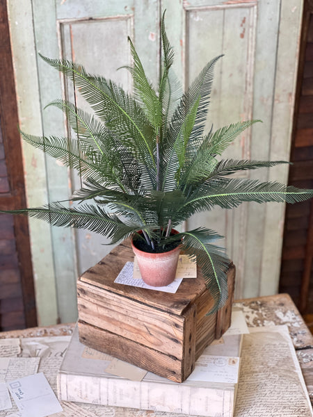Pinion Fern Pot | 22" | NOT CURRENTLY IN STOCK-New For Spring 2026!