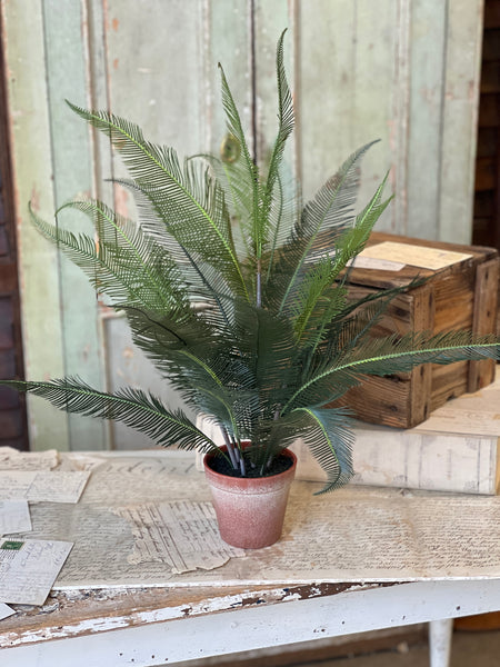 Pinion Fern Pot | 22" | NOT CURRENTLY IN STOCK-New For Spring 2026!