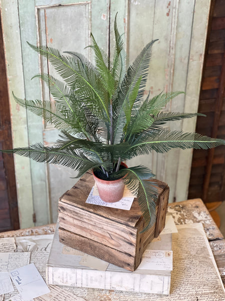 Pinion Fern Pot | 22" | NOT CURRENTLY IN STOCK-New For Spring 2026!