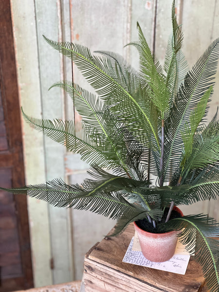 Pinion Fern Pot | 22" | NOT CURRENTLY IN STOCK-New For Spring 2026!