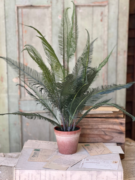 Pinion Fern Pot | 22" | NOT CURRENTLY IN STOCK-New For Spring 2026!