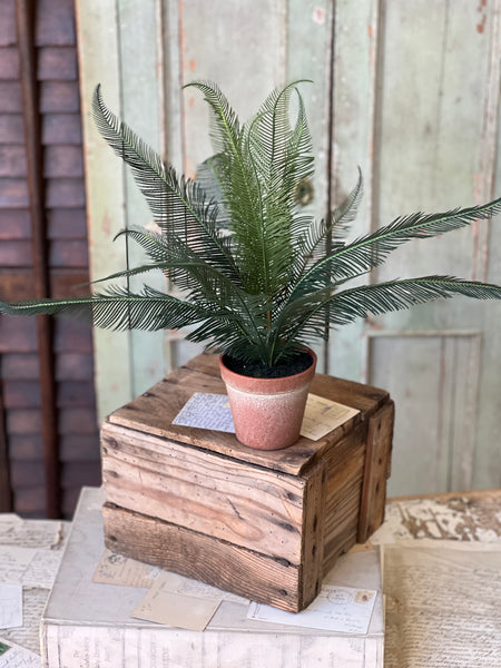 Pinion Fern Pot | 16" | NOT CURRENTLY IN STOCK-New For Spring 2026!