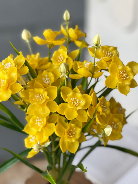 Daffodil Lane Bundle | 19.5" | Yellow | NOT CURRENTLY IN STOCK-New For Spring 2026!