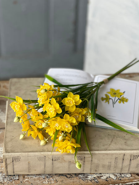 Daffodil Lane Bundle | 19.5" | Yellow | NOT CURRENTLY IN STOCK-New For Spring 2026!