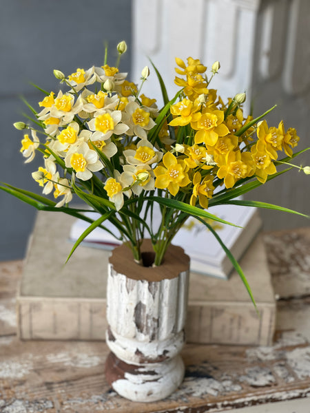 Daffodil Lane Bundle | 19.5" | Follies | NOT CURRENTLY IN STOCK-New For Spring 2026!