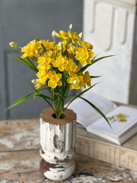 Daffodil Lane Bundle | 19.5" | Yellow | NOT CURRENTLY IN STOCK-New For Spring 2026!