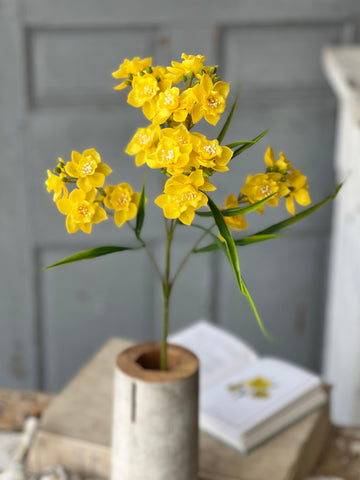 Daffodil Lane Spray | 31.5" | Yellow | NOT CURRENTLY IN STOCK-New For Spring 2026!
